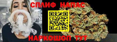 молекула духа Тверь