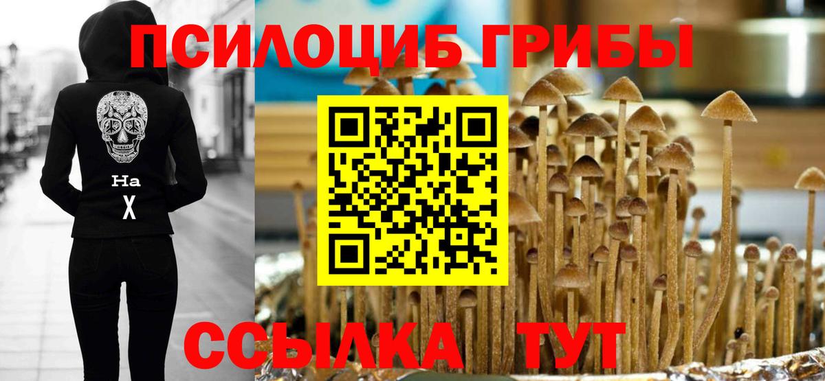 Псилоцибиновые грибы Cubensis Отрадное